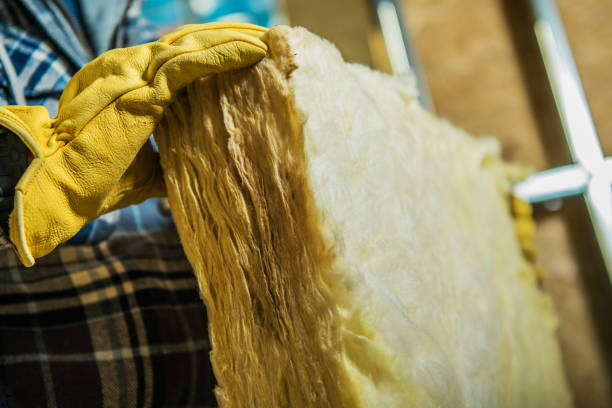 Best Insulation Maintenance and Repair in Haverhill, FL
